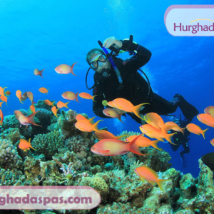 Diving in Hurghada