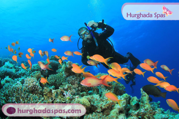 Diving in Hurghada