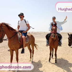 Horse riding in Hurghada (1 hour private )