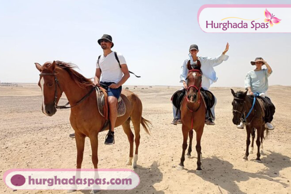 Horse riding in Hurghada (1 hour private )