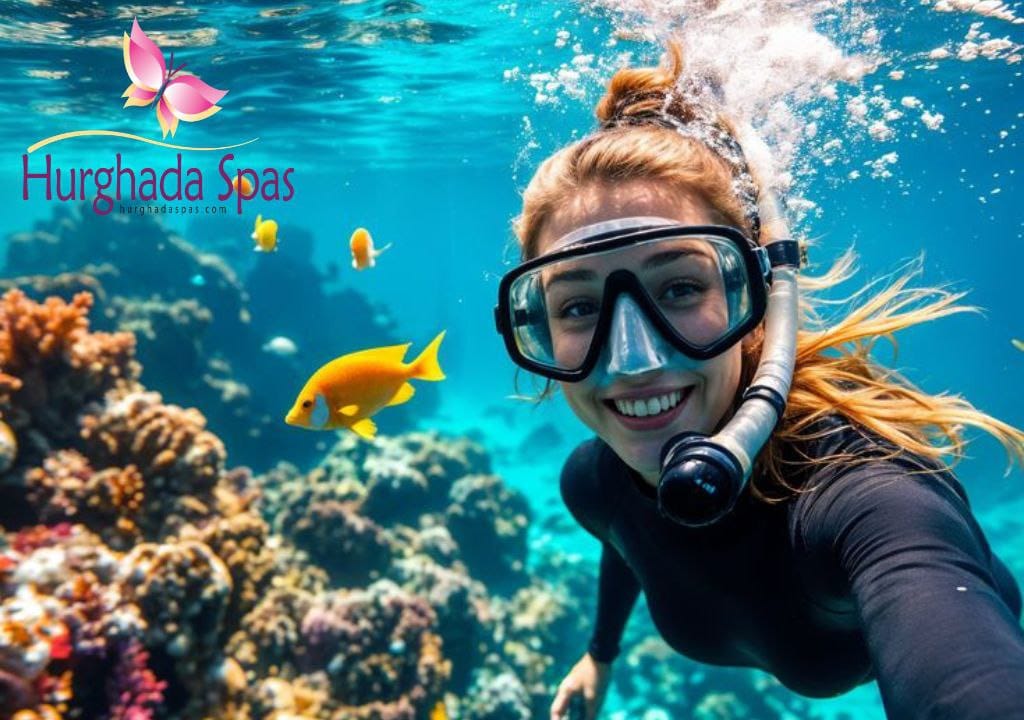 Shaab El Erg – The Dolphin House Experience in Hurghada
